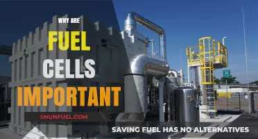 Powering the Future: The Critical Role of Fuel Cells in Sustainable Energy