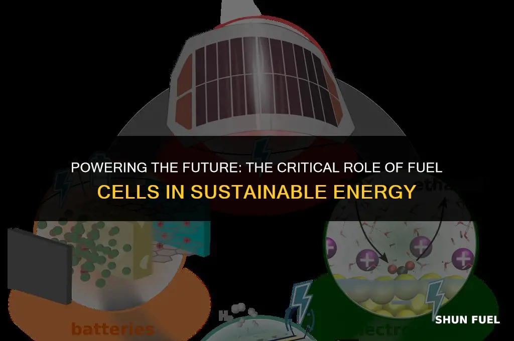why are fuel cells important