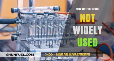 Why Fuel Cells Haven't Gained Traction: Barriers to Widespread Adoption