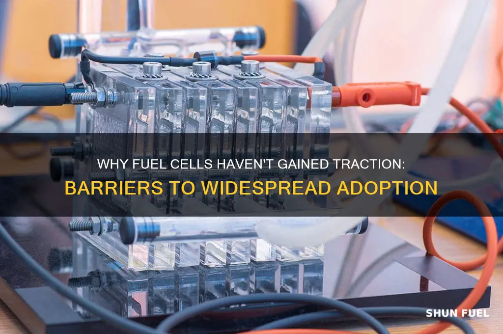 why are fuel cells not widely used