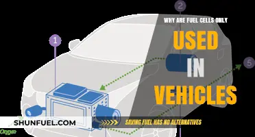 Why Fuel Cells Remain Exclusive to Vehicle Applications: Key Insights
