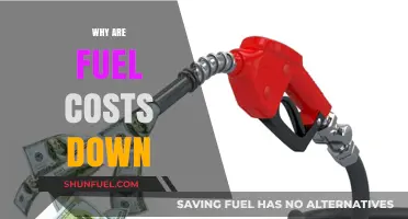 Exploring the Factors Behind the Recent Drop in Fuel Costs