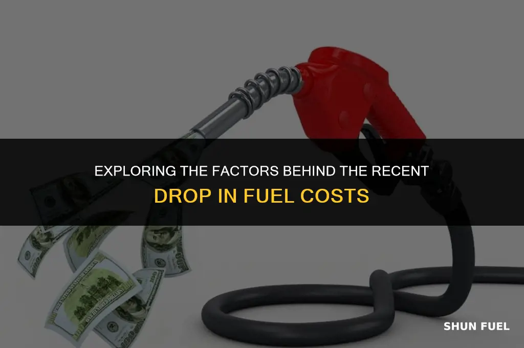 why are fuel costs down