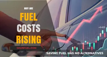 Exploring the Surge in Fuel Costs: A Comprehensive Analysis