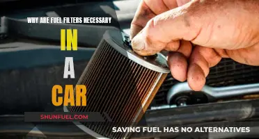 Fuel Filters: The Unseen Guardians of Your Car's Performance