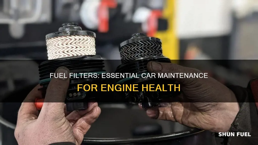 why are fuel filters necessary in a car