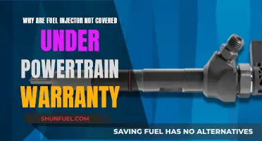 Fuel Injectors: Excluded from Powertrain Warranty, Why?
