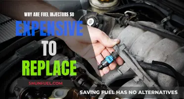 Fuel Injector Replacement: Expensive but Necessary Maintenance