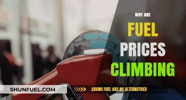 Exploring the Surge: Factors Driving Fuel Prices Higher