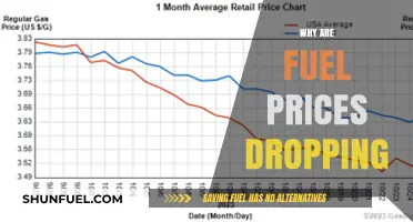 Exploring the Reasons Behind the Recent Drop in Fuel Prices