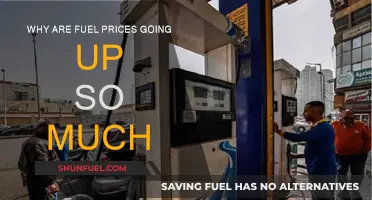 Fuel Prices Surge: Understanding the Global Crisis