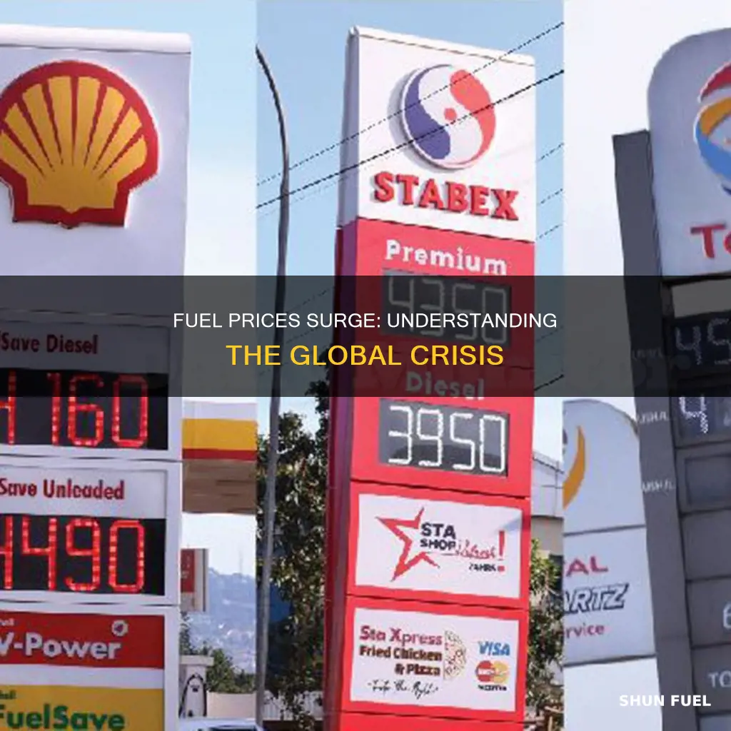 why are fuel prices going up so much