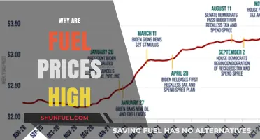 Understanding the Surge: Factors Driving High Fuel Prices