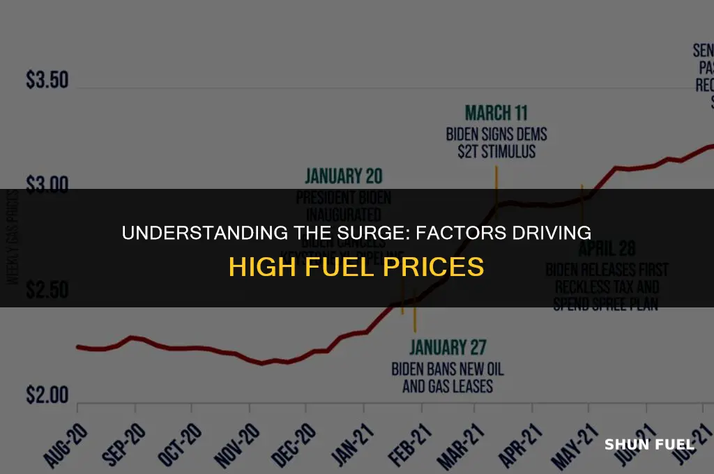 why are fuel prices high