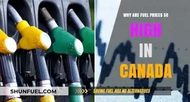 Why Are Canadian Fuel Prices Skyrocketing? Unraveling the Cost Crisis