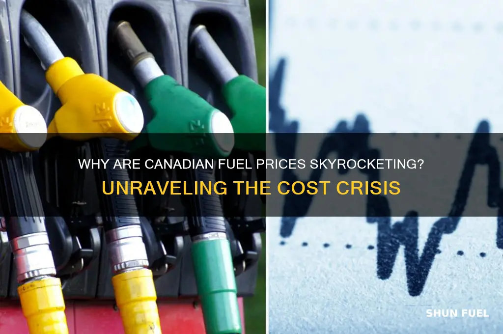why are fuel prices so high in canada