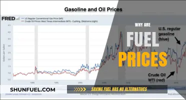 Why Fuel Prices Keep Rising: Causes and Impact Explained