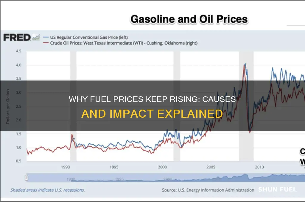 why are fuel prices