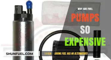 Why Fuel Pumps Cost a Fortune: Uncovering the Expensive Truth