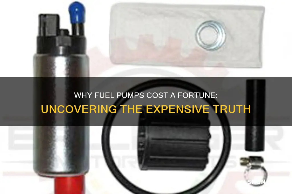 why are fuel pumps so expensive
