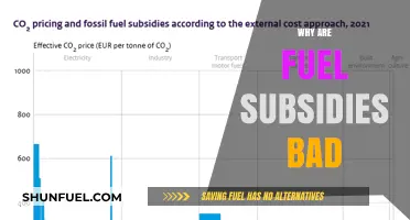 The Hidden Costs of Fuel Subsidies: A Critical Examination