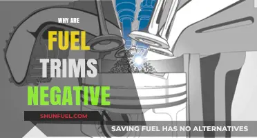 Decoding the Mystery: Why Fuel Trims Turn Negative