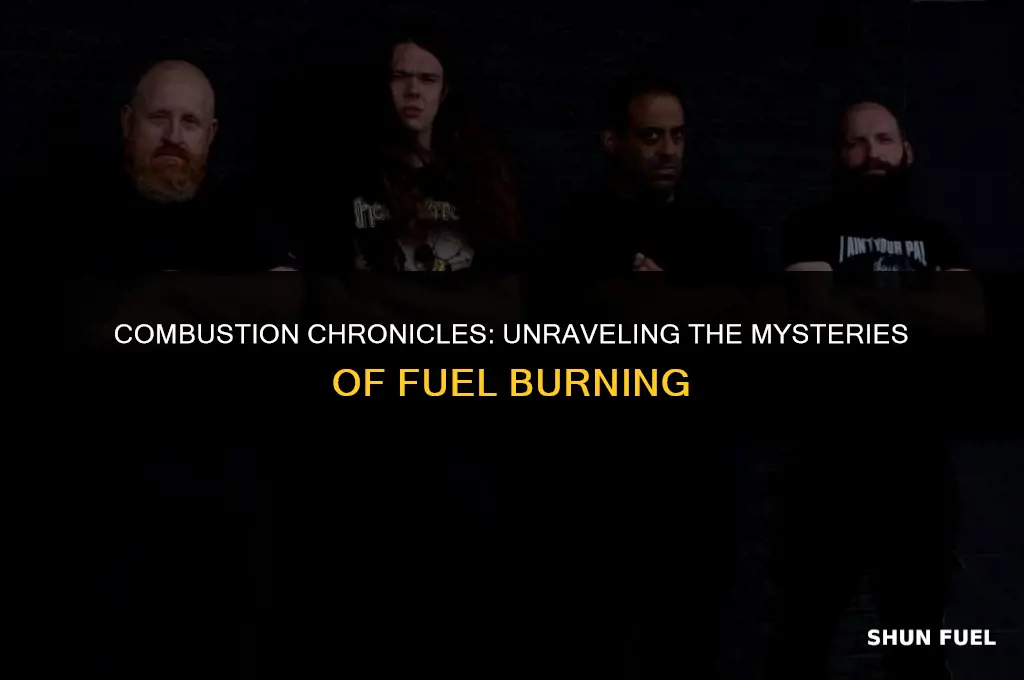 why are fuels burnt