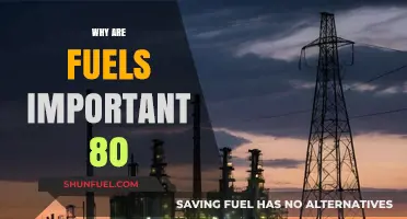 Exploring the Crucial Role of Fuels in Our Daily Lives