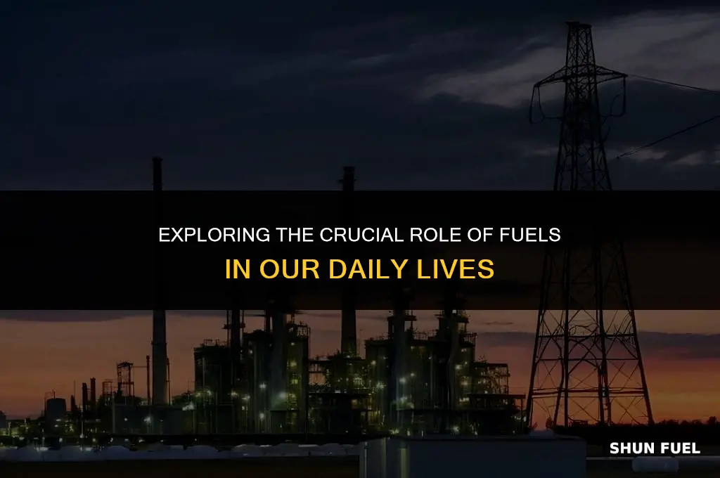 why are fuels important 80