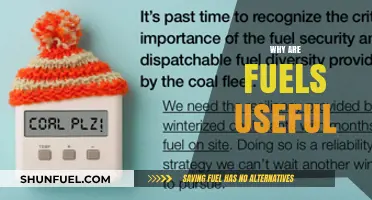 Why Fuels Remain Essential for Energy and Modern Life