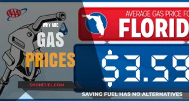 Why Are Gas Prices So High? Understanding the Factors Behind the Surge