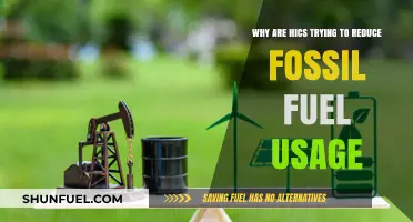 Why High-Income Countries Are Cutting Fossil Fuel Dependence