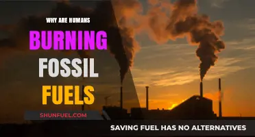 Why Humans Rely on Burning Fossil Fuels: A Critical Analysis