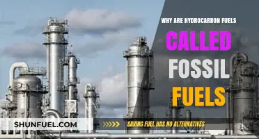 Why Hydrocarbon Fuels Are Known as Fossil Fuels: Explained