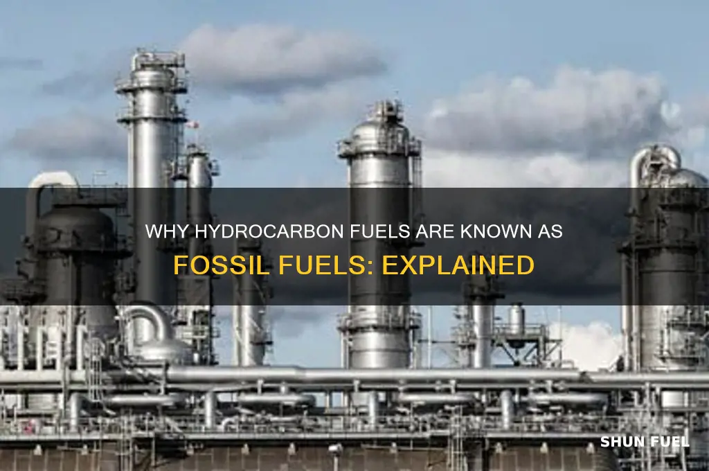 why are hydrocarbon fuels called fossil fuels