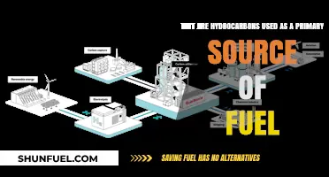 Hydrocarbons: The Dominant Fuel Source and Their Global Energy Role