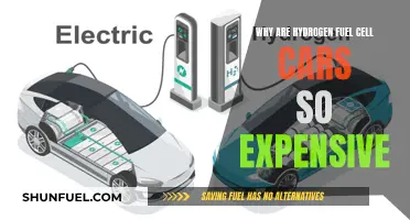 Hydrogen Fuel Cell Cars: Why the High Price Tag?