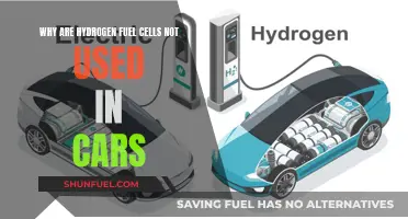 Hydrogen Fuel Cells: Cars' Unutilized Power Source?