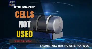Hydrogen Fuel Cells: Barriers to Widespread Adoption Explained