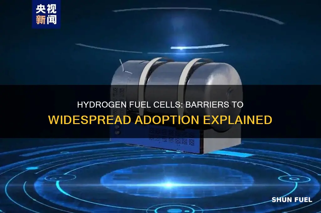 why are hydrogen fuel cells not used
