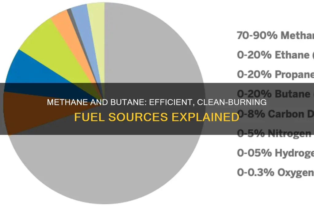 why are methane and butane used as fuels