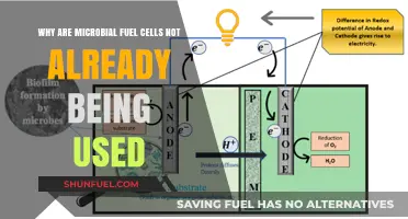 Microbial Fuel Cells: Why This Green Energy Tech Isn’t Mainstream Yet