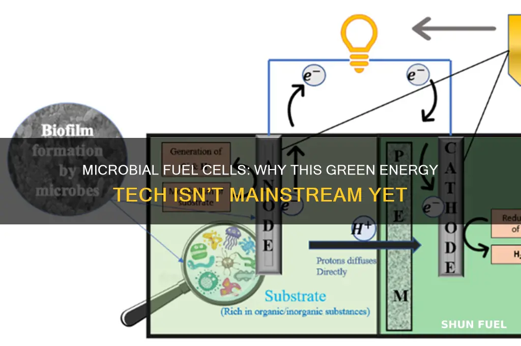 why are microbial fuel cells not already being used