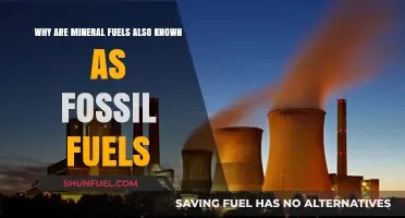 Mineral Fuels: The Fossil Fuel Connection Explained in Simple Terms