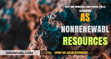 Minerals and Fossil Fuels: Understanding Their Nonrenewable Resource Classification