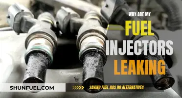 Fuel Injector Leaks: What's the Cause and How to Fix?