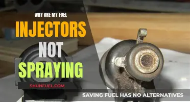 Fuel Injectors Failing to Spray: What Could Be the Reason?