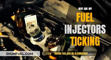 Fuel Injector Ticking: What's the Problem?