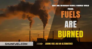 Nitrogen Oxides: Unveiling Their Formation During Fossil Fuel Combustion