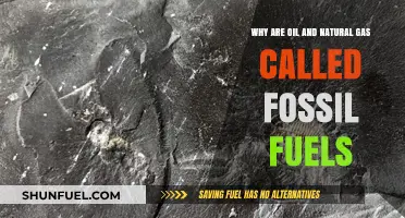 Why Oil and Natural Gas Are Called Fossil Fuels